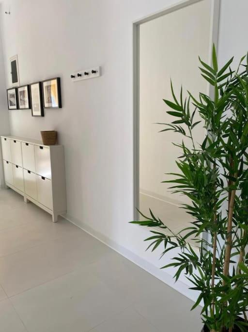 The Palm Apartment Karpathos Exterior photo
